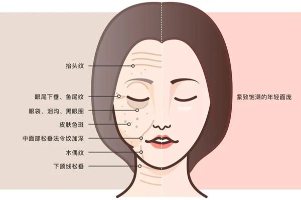 PRIA皮膚科術後評價如何