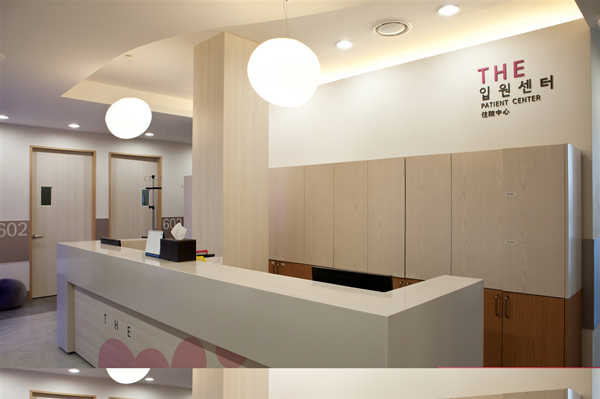 Is THE Plastic Surgery in Korea Good for Breast Augmentation? Implants, Revision Surgery, Costs and Appointments
